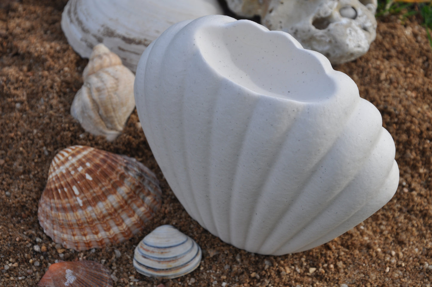 Brûle-parfum coquillage