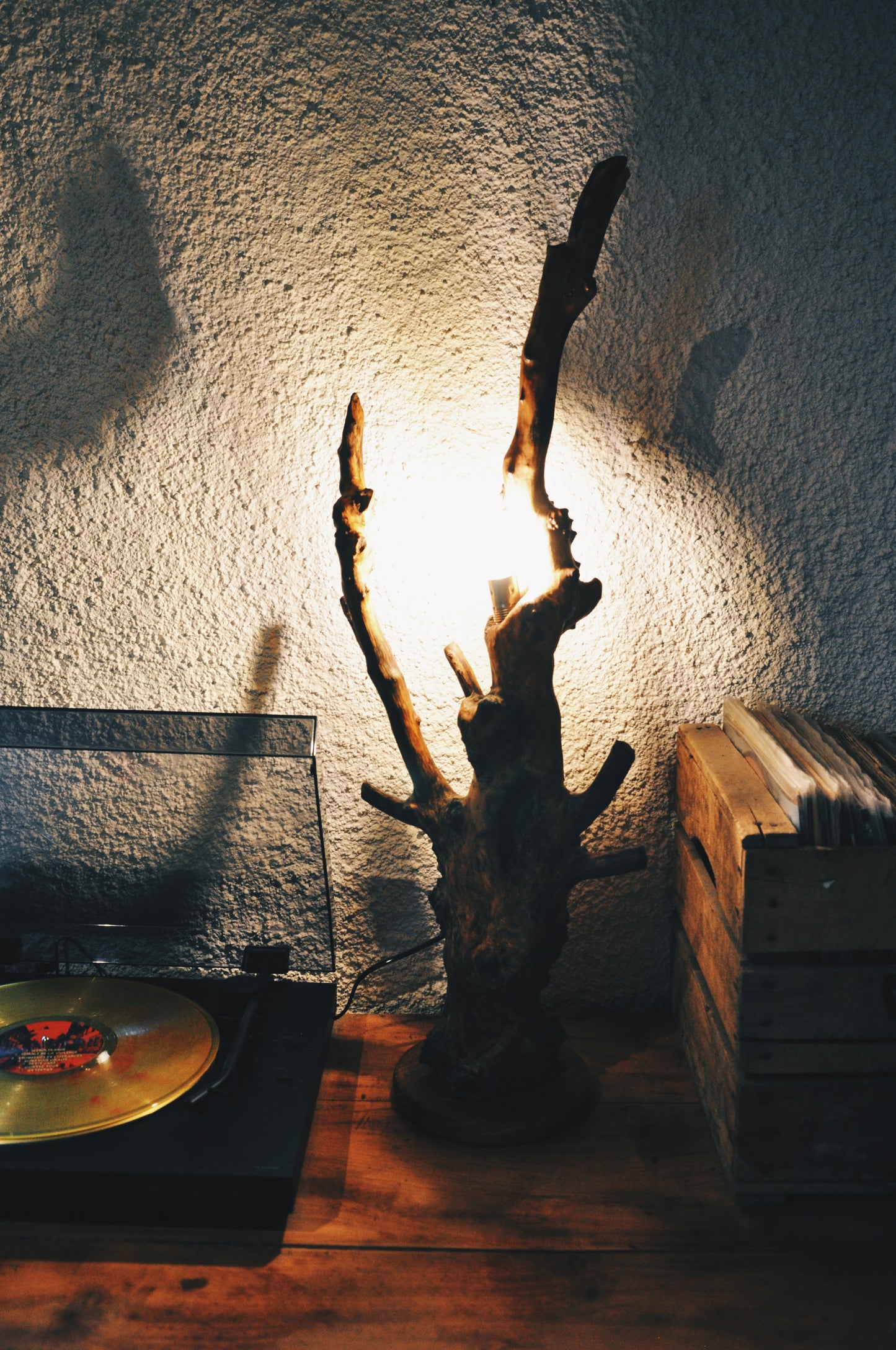 Lampe tronc de Buis