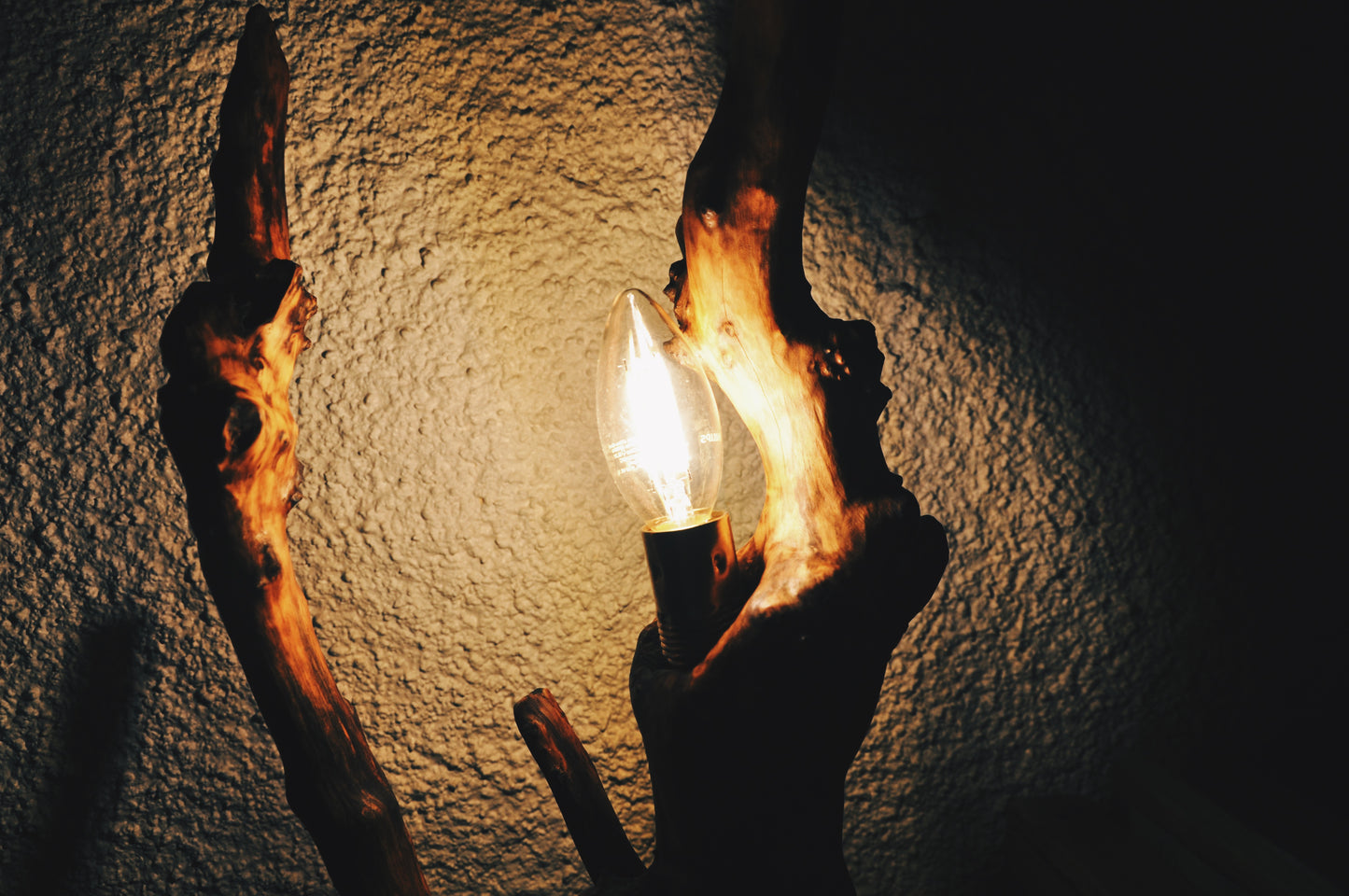 Lampe tronc de Buis