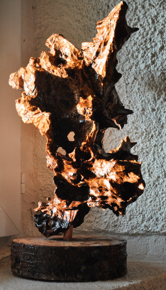 Figure Abstraite